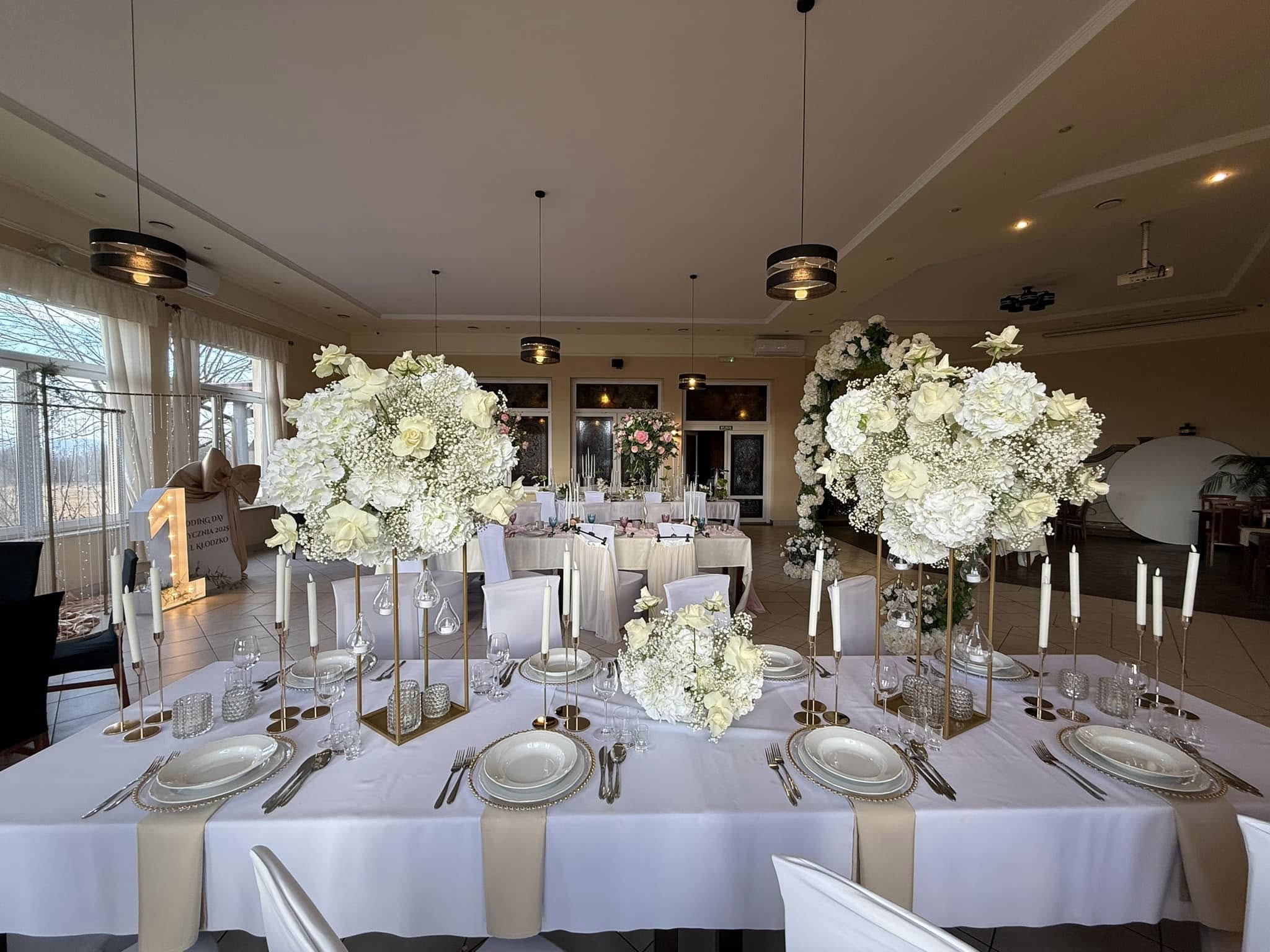 488380150_1227753708743754_638582918947857667_n